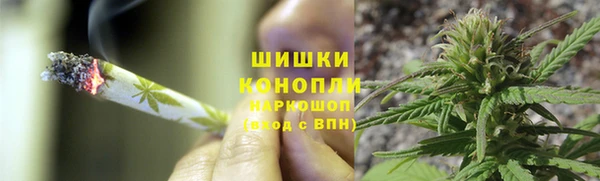 винт Дмитров