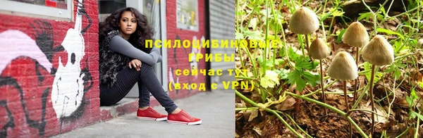 винт Дмитров