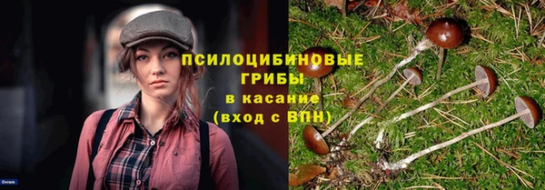 спиды Дмитровск