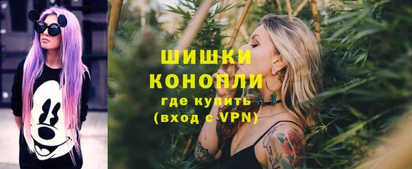 молекула духа Дмитриев