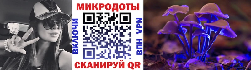 Галлюциногенные грибы Cubensis Мамоново