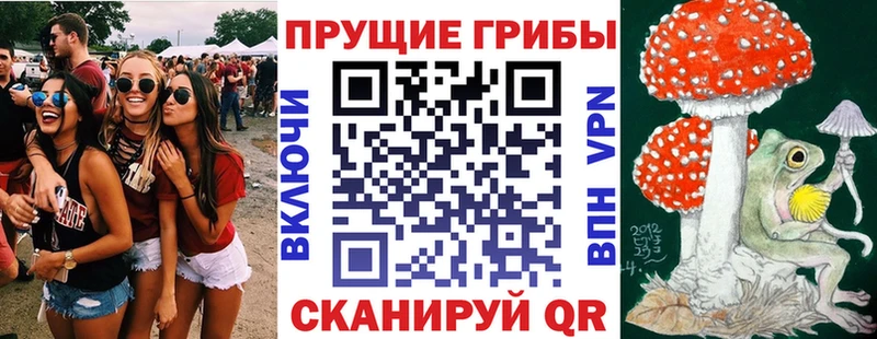 Галлюциногенные грибы MAGIC MUSHROOMS  Купить  Мамоново 